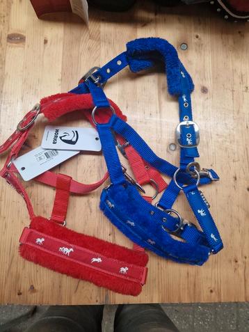 Halsters maat pony  beschikbaar voor biedingen