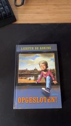 Opgesloten - Lizette de Koning, Gelezen, Lizette de Koning, Ophalen of Verzenden, Fictie