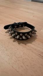 Halsband kleine hond spikes, Nieuw, Ophalen of Verzenden