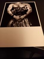 Erwin Olaf  kaart  Tulips  Mohamed ongelopen, Verzenden, 1980 tot heden, Ongelopen, Sterren en Beroemdheden