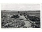 Ede, heide bij Sysselschelaan, ongelopen, uitgave Sleding, Verzenden, 1940 tot 1960, Ongelopen, Gelderland