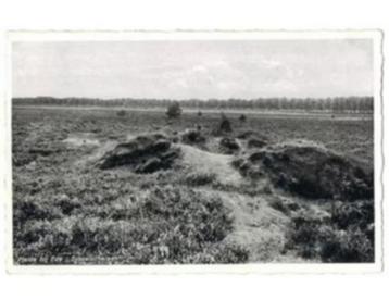 Ede, heide bij Sysselschelaan, ongelopen, uitgave Sleding beschikbaar voor biedingen