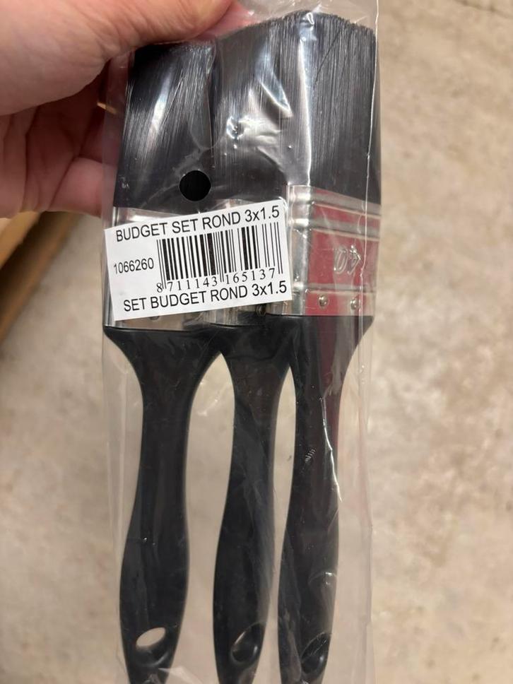 Set van 3 platte borstels, Doe-het-zelf en Verbouw, Schildersmaterialen, Nieuw, Kwast, Ophalen of Verzenden