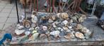 Diverse stenen en mineralen, Ophalen, Mineraal