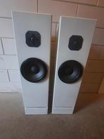 Visaton WSP/DSM zelfbouw speakerset, Overige merken, Front, Rear of Stereo speakers, Gebruikt, 60 tot 120 watt