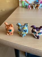 Littles pet shop Yorkshire terriër 3 verschillende, Ophalen of Verzenden, Zo goed als nieuw