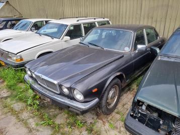 1985 Jaguar XJ6 handbak & wegenbelastingvrij! beschikbaar voor biedingen
