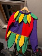 Carnavalskleding Narrepak - Vastenavond, Ophalen, Zo goed als nieuw, 158 t/m 164, Jongen of Meisje