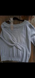 Grijze trui met pofmouwen m/L, Kleding | Dames, Truien en Vesten, Maat 38/40 (M), Ophalen of Verzenden, Grijs, Onbekend