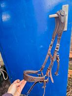 Edix Rose  kaak gekruist hoofdstel full, Ophalen of Verzenden