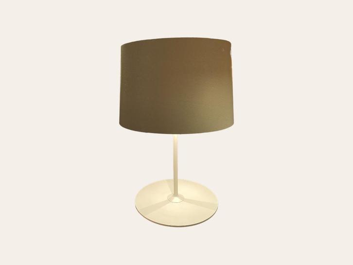 Foscarini Twiggy XL Tafellamp bij TheReSales, Huis en Inrichting, Lampen | Tafellampen, Zo goed als nieuw, 50 tot 75 cm, Kunststof