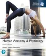 Human Anatomy&Physiology, Global Edition, 11th edition, Boeken, Studieboeken en Cursussen, Nieuw, Beta, Katja Hoehn, Ophalen of Verzenden