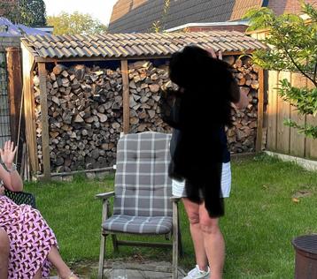 GRATIS Dakpannen stuk of 125 beschikbaar voor biedingen