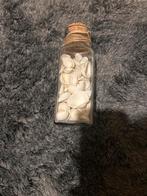 Schelpen in glazen fles, Antiek en Kunst, Ophalen of Verzenden