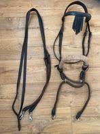 Bitloos hoofdstel donkerbruin, Dieren en Toebehoren, Paarden en Pony's | Hoofdstellen en Tuigage, Ophalen of Verzenden, Zo goed als nieuw