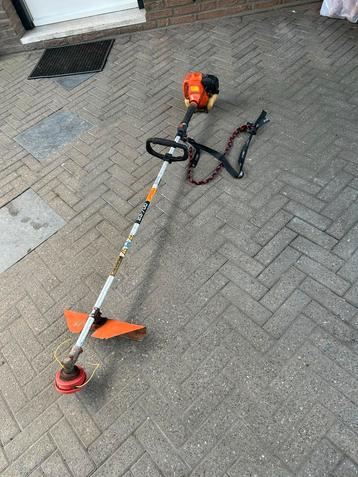 Bosmaaier beschikbaar voor biedingen