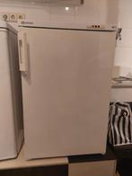 Bauknegt Vriezer te koop, Gebruikt, Minder dan 85 cm, Minder dan 60 cm, Vrijstaand