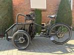 Livelo #1 Elektrische Bakfiets - Zweedse Kwaliteit!, Overige merken, Verzenden, Nieuw, 2 kinderen