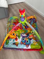Playgro 4 in 1 Speelkleed - Compleet!, Ophalen, Gebruikt, Speelkleed, Met licht
