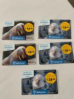 Tickets Dolfinarium, Tickets en Kaartjes, Ticket of Toegangskaart