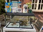 Conpleet aquarium van juwel, 120L, Dieren en Toebehoren, Vissen | Aquaria en Toebehoren, Ophalen, Zo goed als nieuw, Leeg aquarium