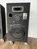 Set Vintage Linear Phase Monitor Speakers 8812 made in USA, Audio, Tv en Foto, Luidsprekers, Gebruikt, 60 tot 120 watt, Front, Rear of Stereo speakers