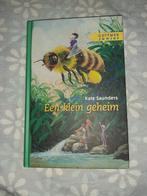 Een klein geheim - Kate Saunders, Ophalen, Nieuw, Kate Saunders