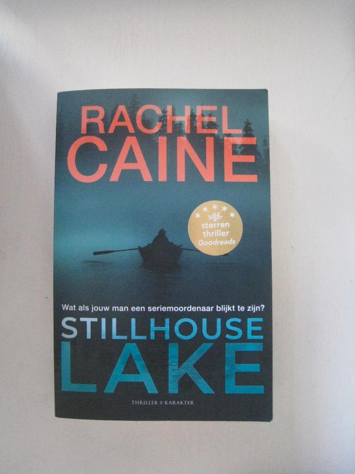 Stillhouse Lake, Boeken, Thrillers, Zo goed als nieuw, Ophalen of Verzenden