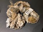 schelpen mix in net naturel 4 verpakkingen alles samen, Ophalen of Verzenden, Nieuw