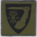 Noorwegen Embleem Combat service support battalion, Ophalen of Verzenden, Landmacht, Overige gebieden, Embleem of Badge