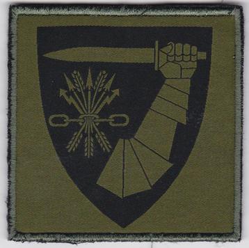 Noorwegen Embleem Combat service support battalion  beschikbaar voor biedingen