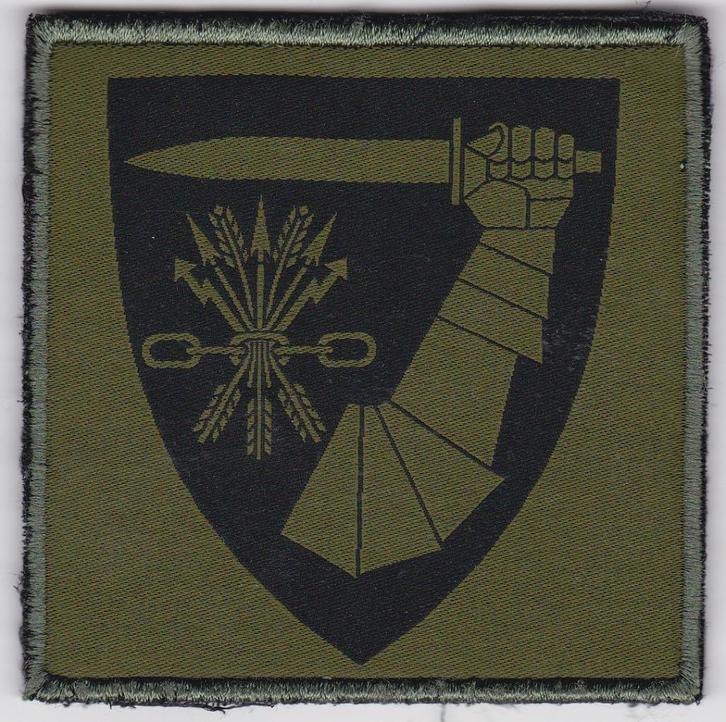 Noorwegen Embleem Combat service support battalion, Verzamelen, Militaria | Algemeen, Landmacht, Embleem of Badge, Overige gebieden