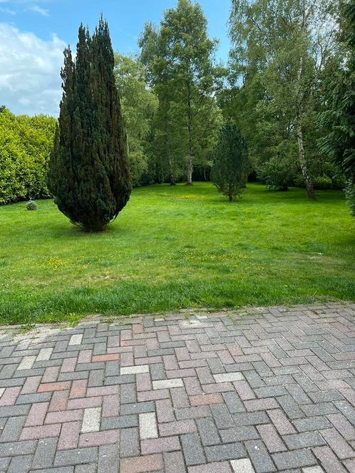Huis te huur, Huizen en Kamers, Huizen te huur