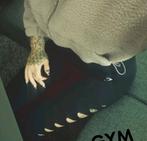 Gymshark gainse seamless ripped legging, Maat 38/40 (M), Zwart, Ophalen of Verzenden, Gymshark