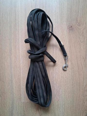 Julius K9 lange lijn hond 1,2cm x 10m antislip met handvat beschikbaar voor biedingen
