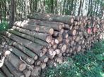 20 Stère eiken stammen, bieden vanaf 72,95, Tuin en Terras, Haardhout, Minder dan 3 m³, Ophalen of Verzenden
