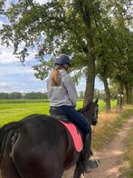 Bijrijder aangeboden omgeving apeldoorn, Dieren en Toebehoren, Ophalen, Zo goed als nieuw