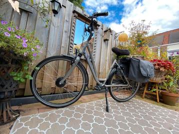 RIH Omega Low Elektrische fiets beschikbaar voor biedingen
