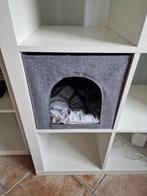 Kattenmand / bak voor in Ikea Expedit / Kallax kast, Dieren en Toebehoren, Ophalen