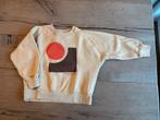 Zara sweater maat 120, Kinderen en Baby's, Kinderkleding | Maat 116, Gebruikt, Jongen of Meisje, Trui of Vest, Ophalen of Verzenden