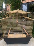 Goudkleurige vogelkooi, Ophalen, Gebruikt, Vogelkooi