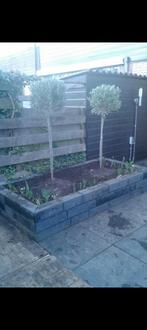 Stapelblokken met Olijfbomen, Tuin en Terras, Bloembakken en Plantenbakken, Ophalen, Gebruikt, Vierkant, Kunststof