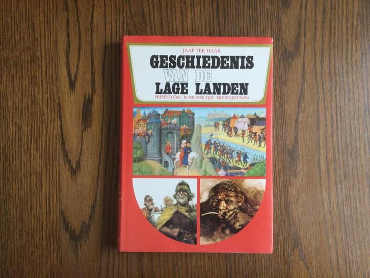 Geschiedenis van de lage landen Jaap ter Haar  , Boeken, Geschiedenis | Vaderland, Ophalen of Verzenden