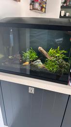 Superfish 70 compleet met accessoires, Dieren en Toebehoren, Vissen | Aquaria en Toebehoren, Ophalen of Verzenden, Zo goed als nieuw