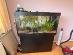 Jewel 300l aquarium 120x50x60 lxbxh extra hoog, Ophalen, Zo goed als nieuw, Gevuld zoetwateraquarium
