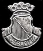 Utrecht gemeentewapen broche, Verzamelen, Speldjes, Pins en Buttons, Ophalen of Verzenden, Nieuw, Stad of Land, Speldje of Pin