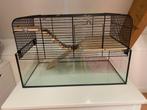 Hamsterkooi glas, Dieren en Toebehoren, Knaagdieren en Konijnen | Hokken en Kooien, Kooi, Gebruikt, Minder dan 75 cm, Hamster