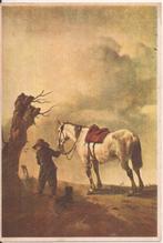 No. 5 Wouwerman Het Witte Paart Uitg. Gestel Eindhoven 40er, Ophalen of Verzenden, 1940 tot 1960, Ongelopen, Natuur