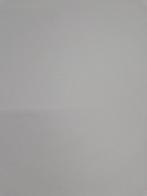 HPL fineer Platina wit 250x131cm ( 528 ), Ophalen, HPL, Nieuw, Nvt