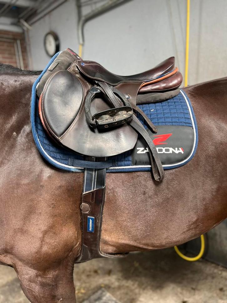 Springzadel bruin Passier 17,5 inch, Dieren en Toebehoren, Paarden en Pony's | Zadels, Zo goed als nieuw, Springen, Ophalen